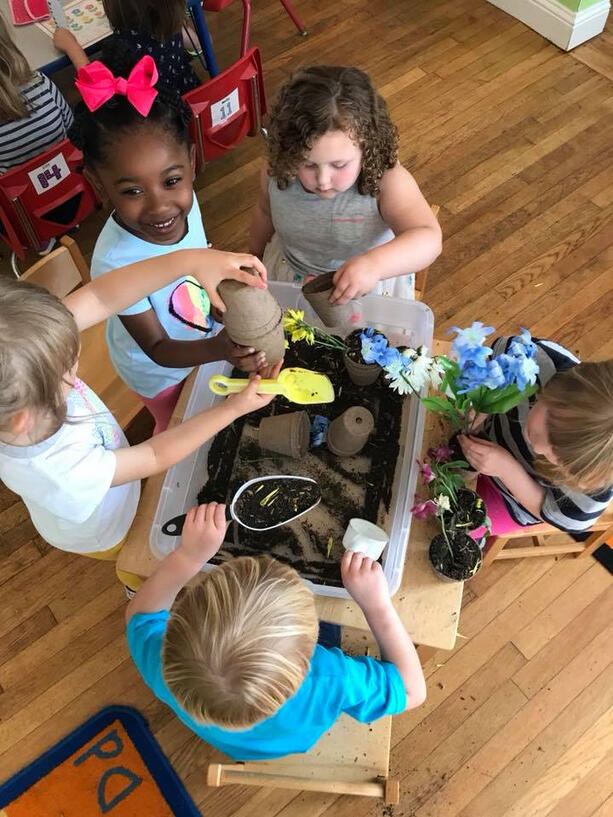 Child Care Teaching plants